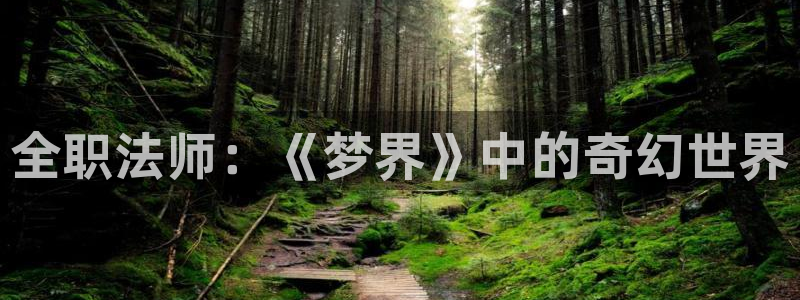 韩漫歪歪漫画破解版：全职法师：《梦界》中的奇幻世界