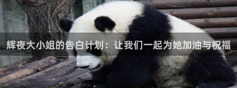 歪歪漫画屋：辉夜大小姐的告白计划：让我们一起为她加油与祝福