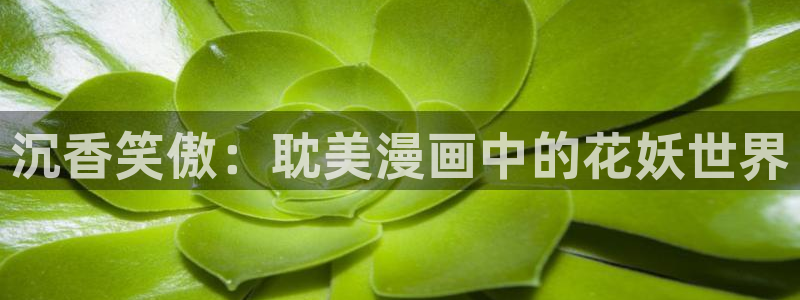 歪歪漫画韩国在线观看：沉香笑傲：耽美漫画中的花妖世界